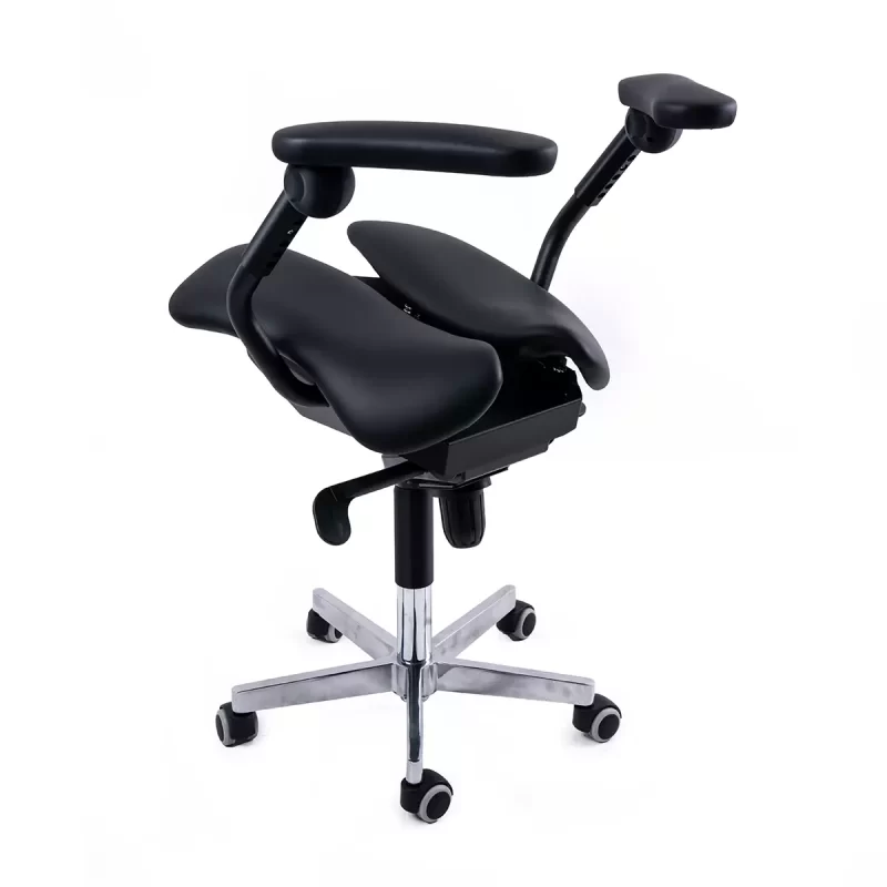 Dr. Sit - Image 4